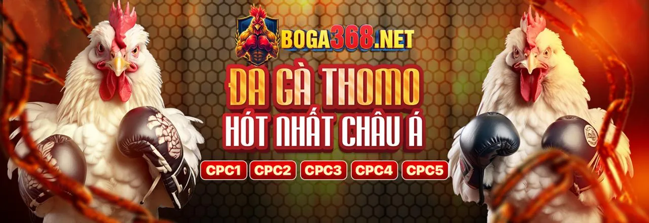 Đá Gà Trực Tuyến mh88 khuyến mãi