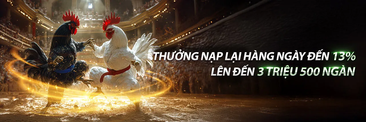 Hình ảnh chính về cá cược thể thao MH88 khuyến mãi