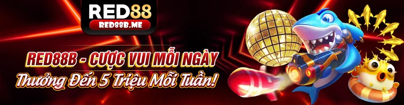 Tổng quan các chương trình khuyến mãi MH88 hấp dẫn